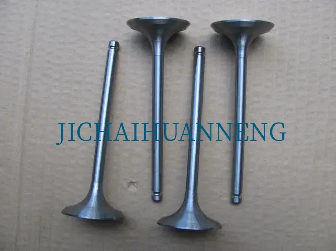 Inlet And Exhaust Valve