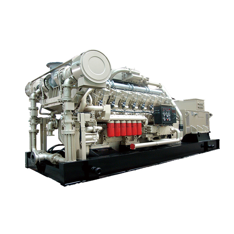 Natural Gas Generator