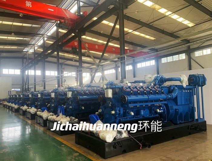 Natural gas engine generator