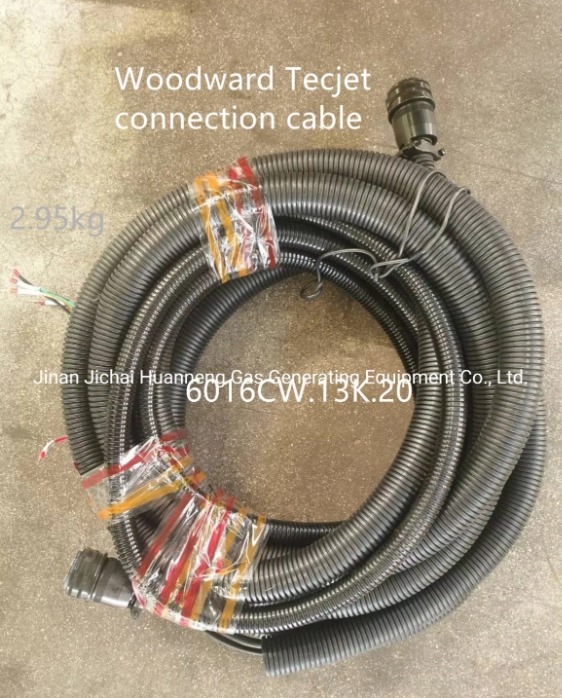 Woodward Tecjet Connection Cable Plug